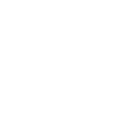 Fast Delivery Icon